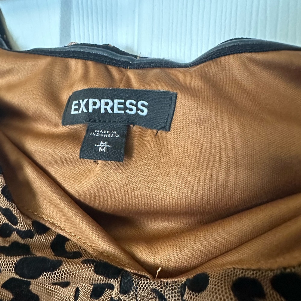 Express Leopard Dress